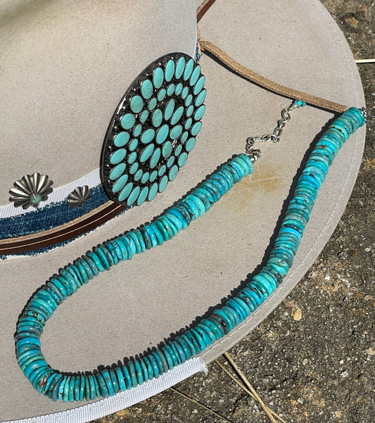 Sleeping Beauty Turquoise Disc Necklace
