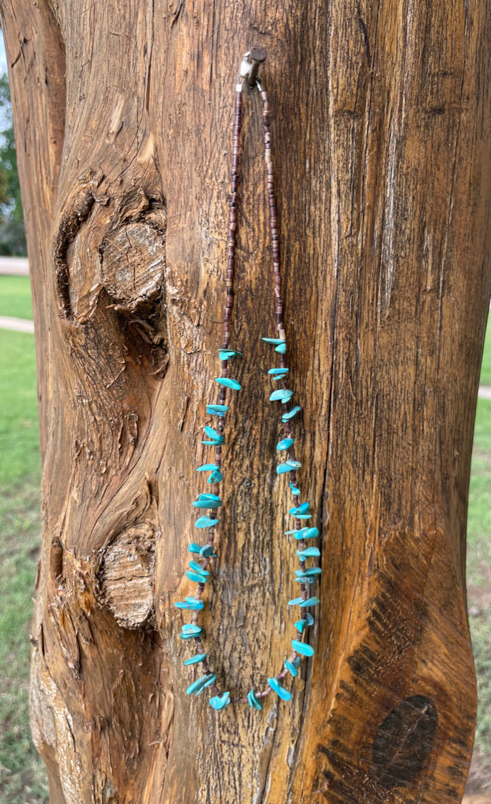 Lola Turquoise and Brown Necklace