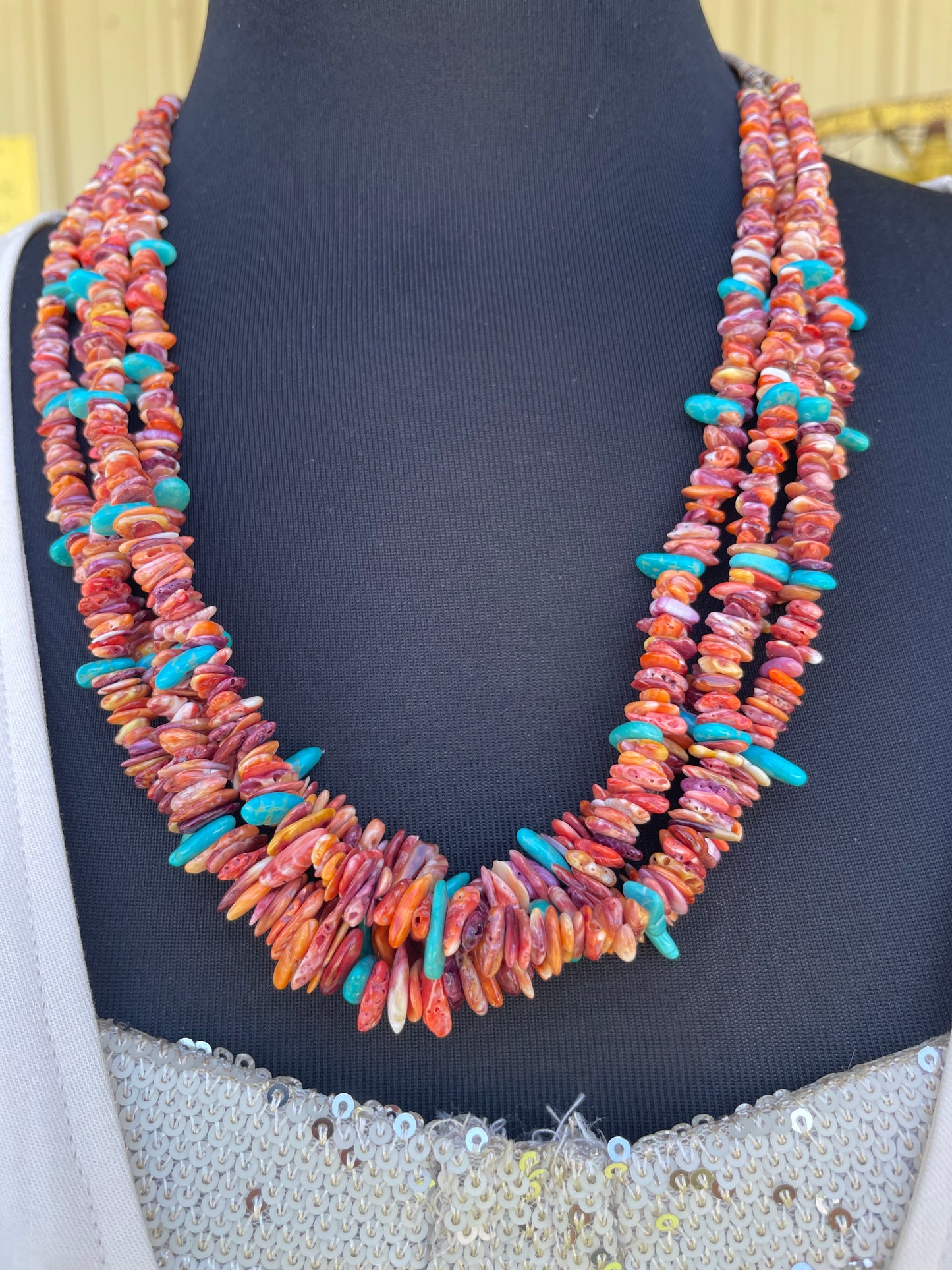 Painted Desert Turquoise Necklace