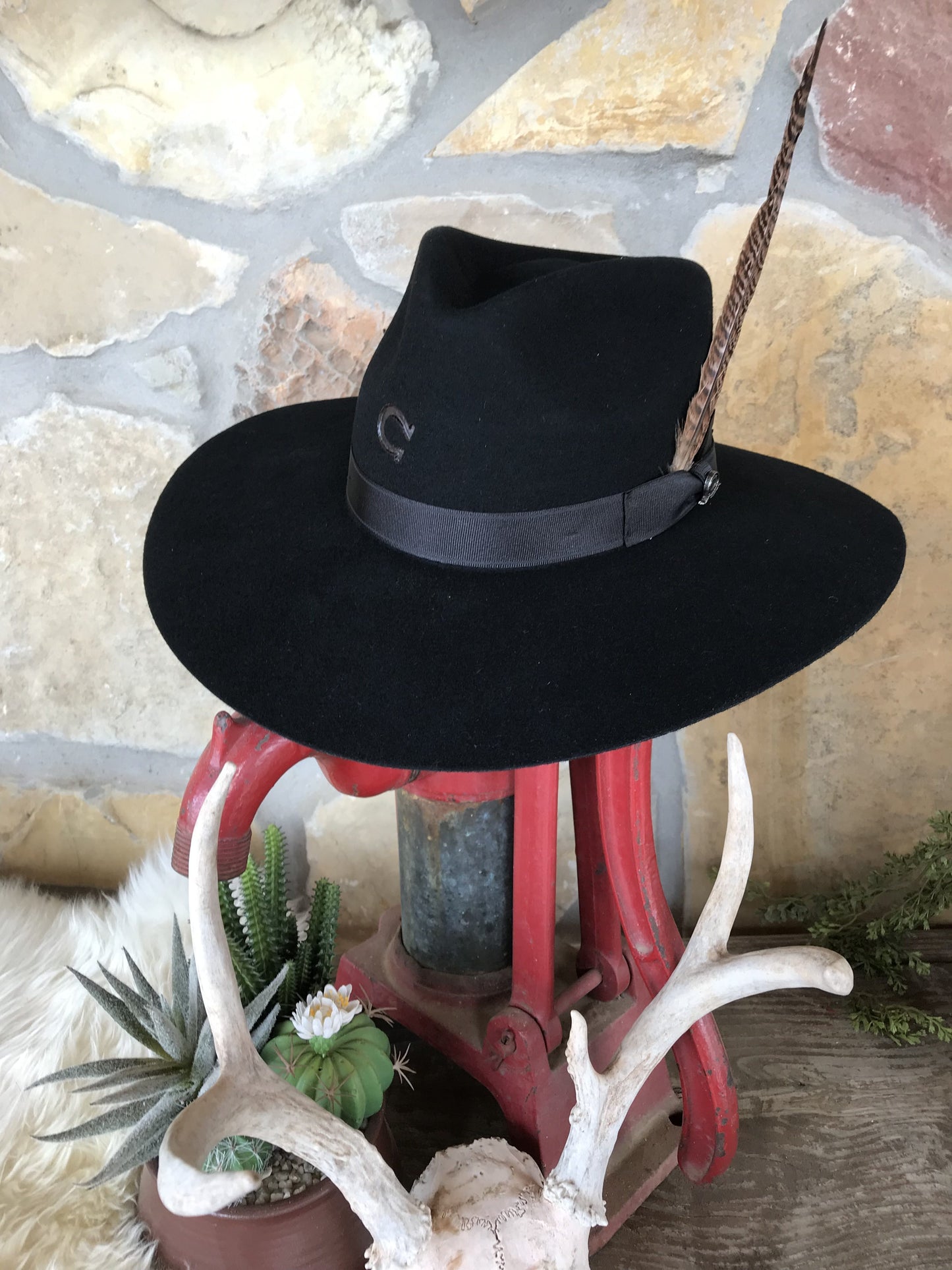 Charlie 1 Horse - Highway Hat In Black