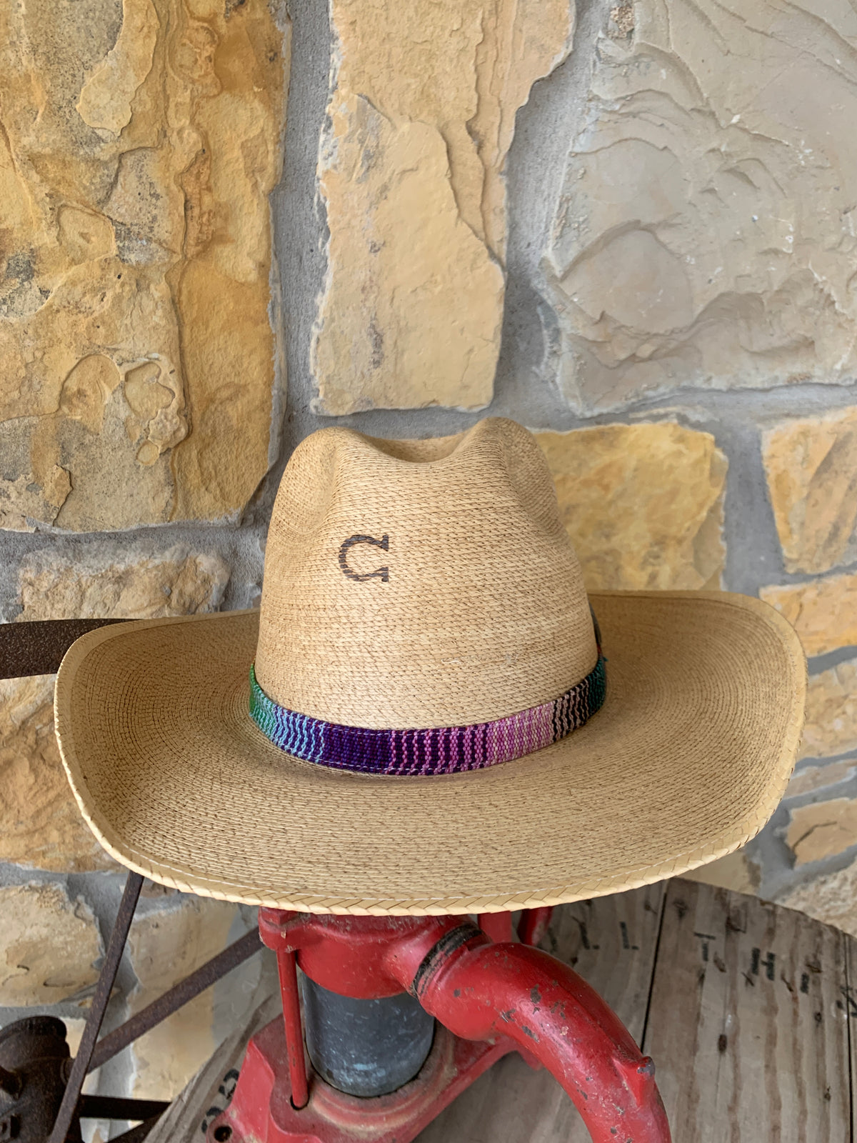 Charlie 1 Horse Poncho Hat