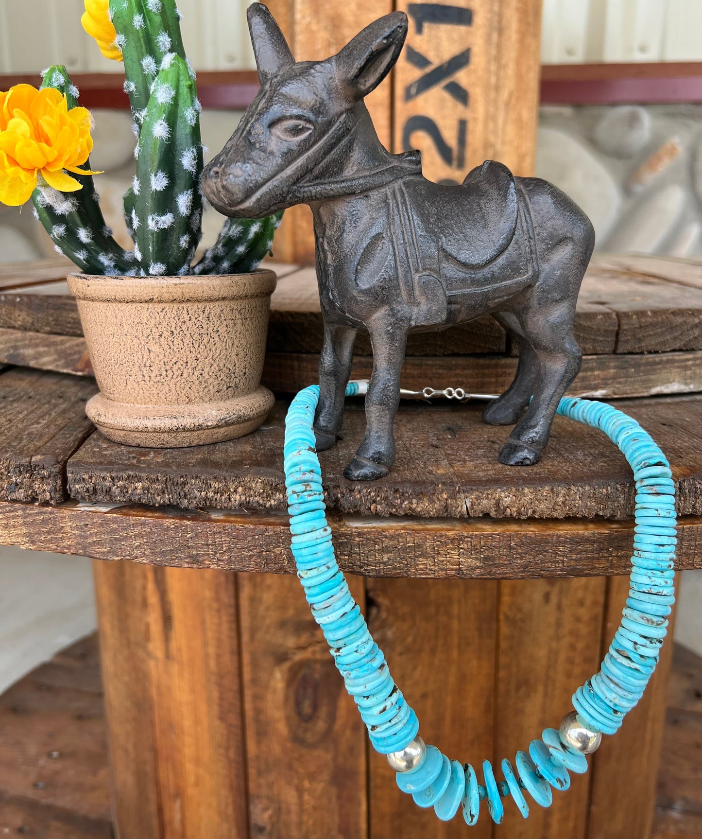 Nacozari Turquoise Disk Necklaces
