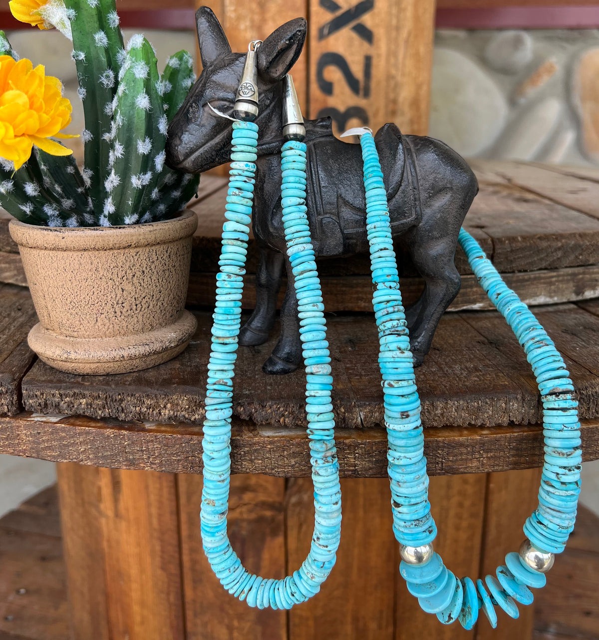Nacozari Turquoise Disk Necklaces