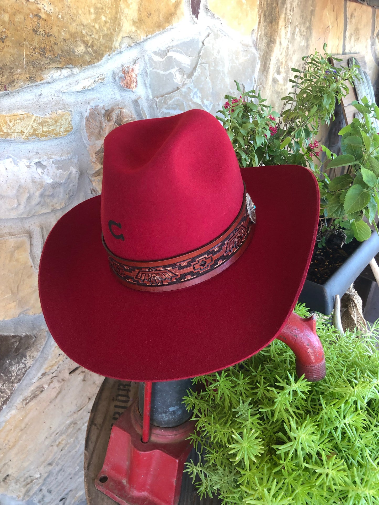 Charlie 1 Horse - Chief Hat in Red